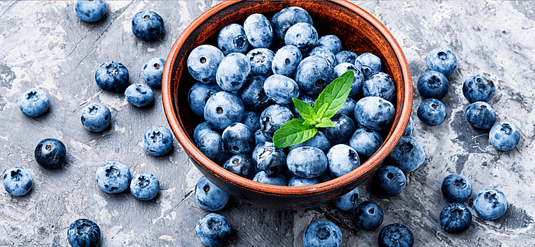 Can Dogs Eat Blueberries